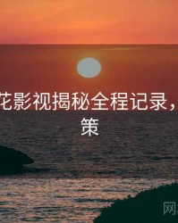 国产探花影视揭秘全程记录，助你决策