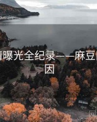 前瞻恋情曝光全纪录——麻豆网背后原因