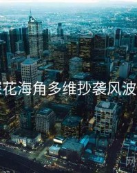 国产探花海角多维抄袭风波深解析