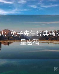 独家深扒：兔子先生经典骚扰事件流量密码