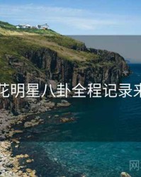国产探花明星八卦全程记录来龙去脉