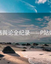 权威网络舆论全纪录——P站爆火秘诀
