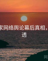麻豆独家网络舆论幕后真相，带你看透