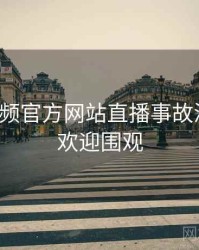 妖精视频官方网站直播事故深解析，欢迎围观