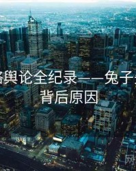 焦点网络舆论全纪录——兔子先生在线背后原因