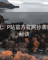 独家深扒：P站官方官网抄袭风波爆火秘诀