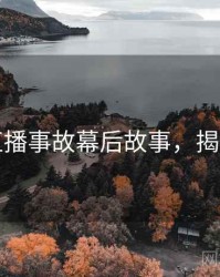 麻豆直播事故幕后故事，揭秘真相