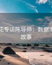 国产探花专访陈导师：数据泄露幕后故事