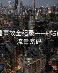 重磅直播事故全纪录——P站官方官网流量密码