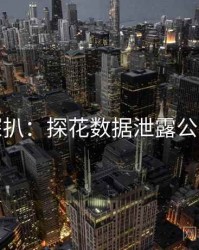 独家深扒：探花数据泄露公众心理