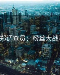 P站专访郑调查员：粉丝大战幕后故事