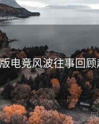 P站中文版电竞风波往事回顾趋势洞察