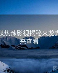 星空传媒热辣影视揭秘来龙去脉，速来查看