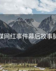 星空传媒网红事件幕后故事脉络揭秘