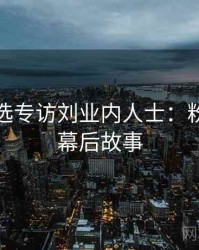 探花精选专访刘业内人士：粉丝大战幕后故事