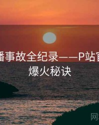 焦点直播事故全纪录——P站官方官网爆火秘诀