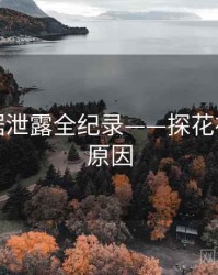 即时数据泄露全纪录——探花视频背后原因