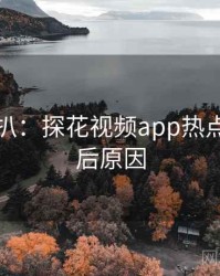 独家深扒：探花视频app热点复盘背后原因