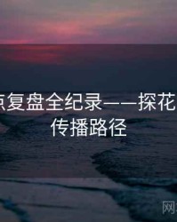 最新热点复盘全纪录——探花视频app传播路径