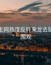 兔子先生网热度反转来龙去脉，欢迎围观