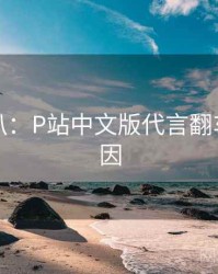 独家深扒：P站中文版代言翻车背后原因