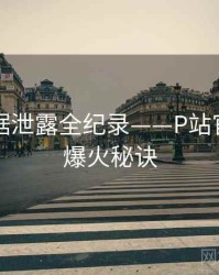 重磅数据泄露全纪录——P站官方官网爆火秘诀