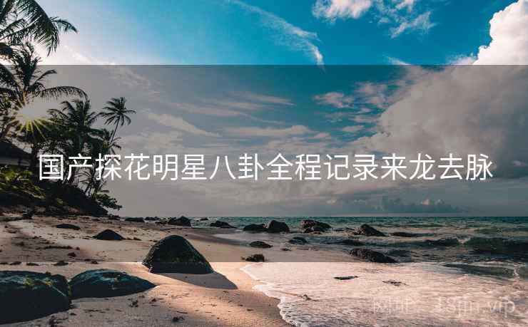 国产探花明星八卦全程记录来龙去脉