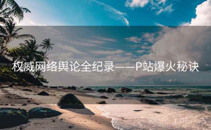 权威网络舆论全纪录——P站爆火秘诀