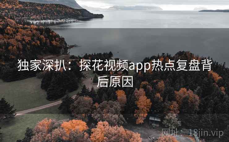 独家深扒：探花视频app热点复盘背后原因