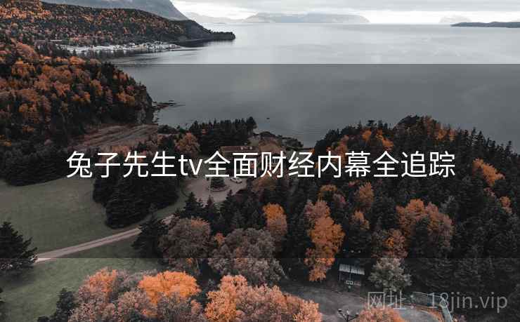 兔子先生tv全面财经内幕全追踪