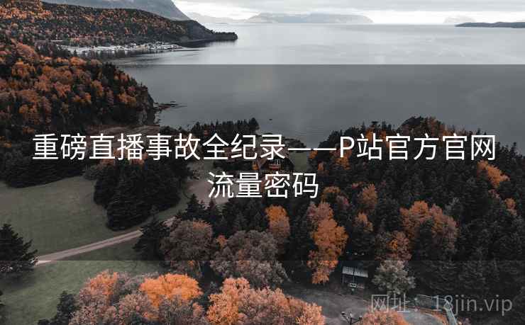重磅直播事故全纪录——P站官方官网流量密码