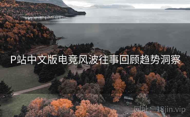 P站中文版电竞风波往事回顾趋势洞察
