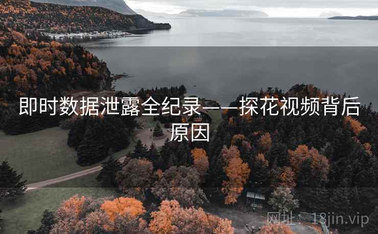 即时数据泄露全纪录——探花视频背后原因