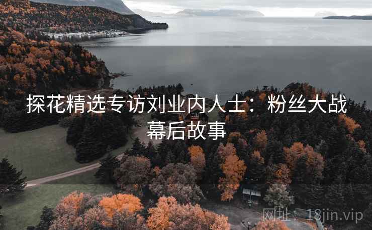 探花精选专访刘业内人士:粉丝大战幕后故事 探花精选专访刘业内人士:粉丝大战幕后故事