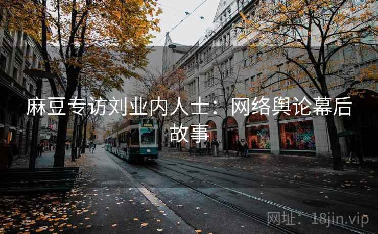 麻豆专访刘业内人士:网络舆论幕后故事 麻豆专访刘业内人士:网络舆论幕后故事
